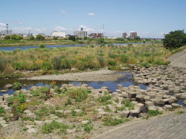 img0025.jpg