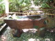 img0006.jpg