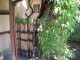 img0009.jpg