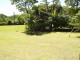 img0010.jpg
