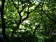 img0012.jpg