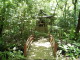img0016.jpg