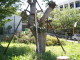 img0018.jpg