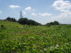 img0023.jpg