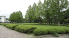 img0005.jpg