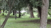 img0006.jpg