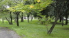 img0007.jpg