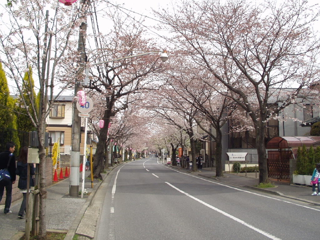 img0000.jpg