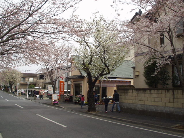 img0001.jpg