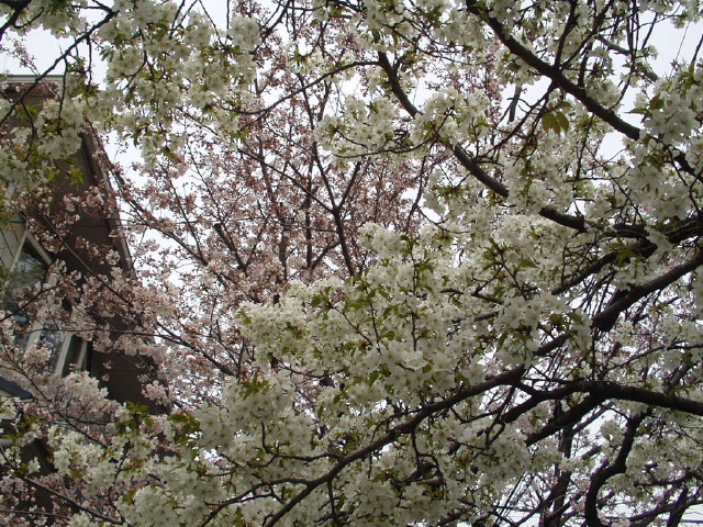 img0002.jpg