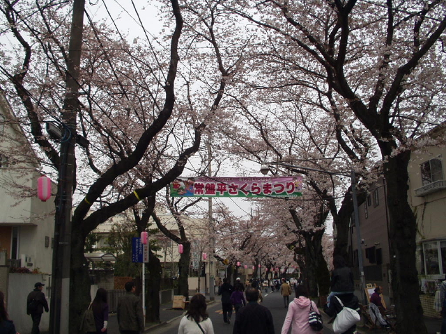 img0003.jpg