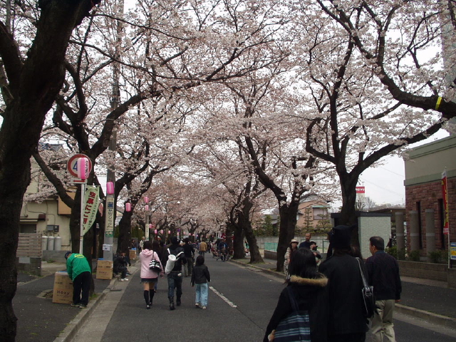 img0004.jpg