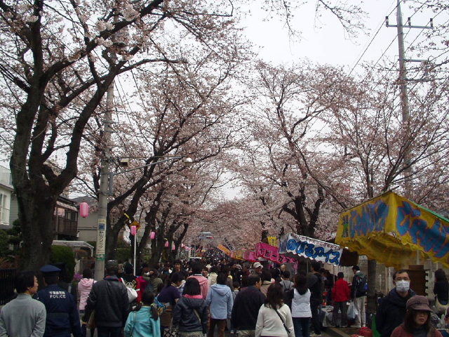 img0005.jpg