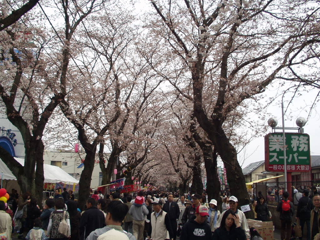 img0010.jpg