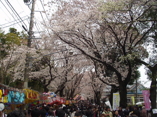 img0011.jpg