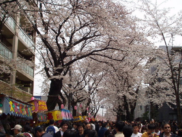 img0012.jpg