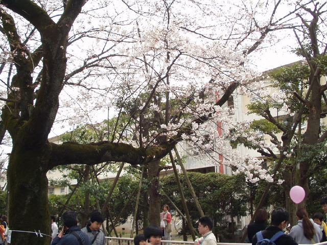 img0013.jpg
