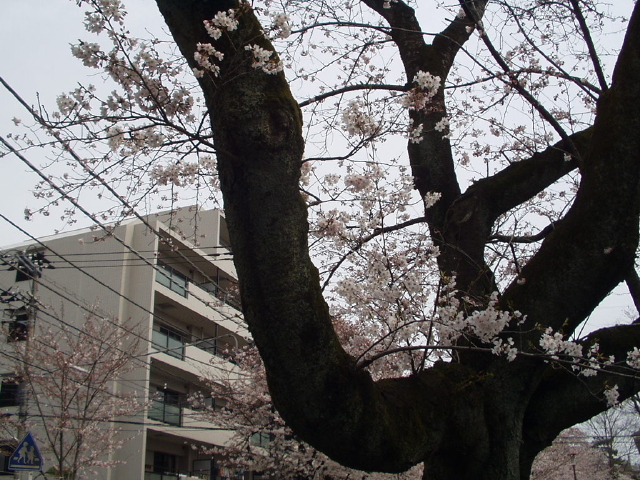 img0014.jpg