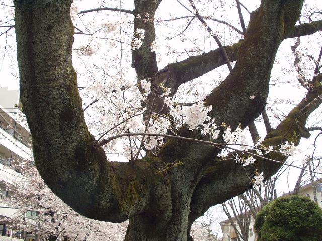 img0015.jpg