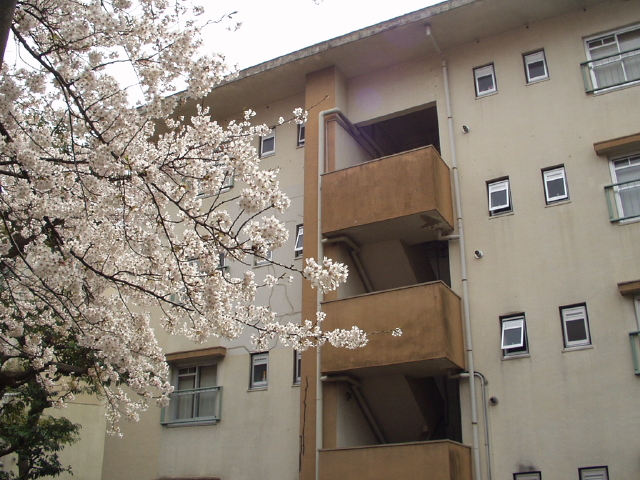 img0017.jpg