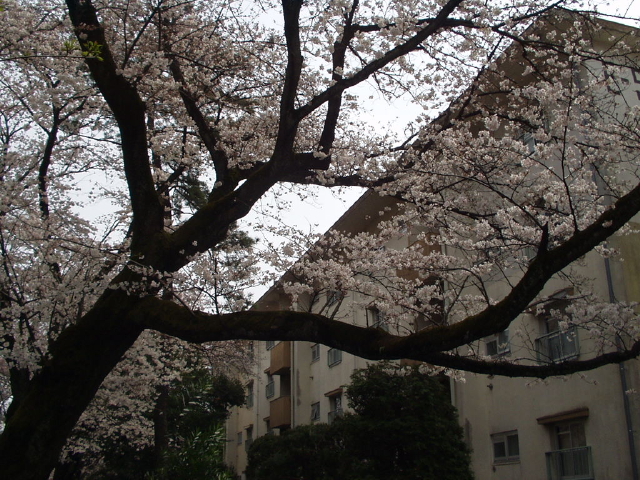 img0018.jpg