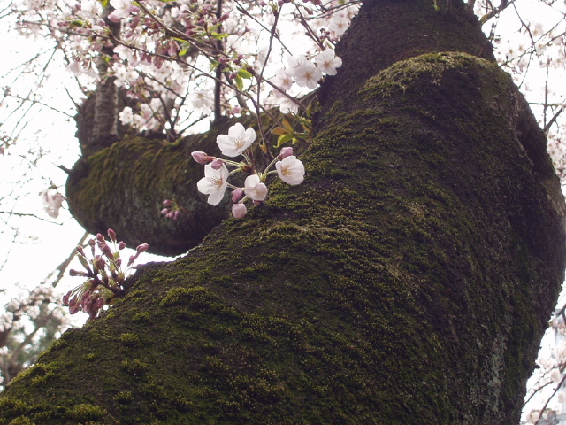 img0021.jpg