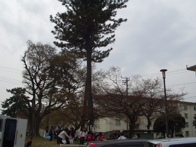 img0022.jpg