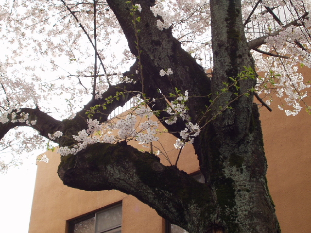 img0023.jpg