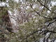 img0002.jpg