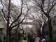 img0003.jpg