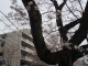 img0014.jpg