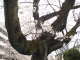 img0015.jpg