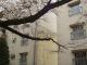 img0019.jpg