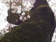 img0021.jpg