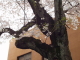 img0023.jpg