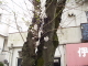 img0024.jpg