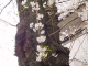 img0025.jpg