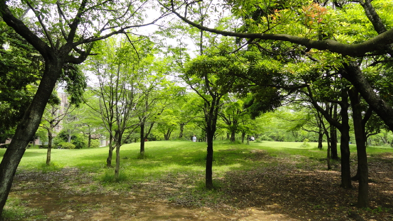 img0007.jpg