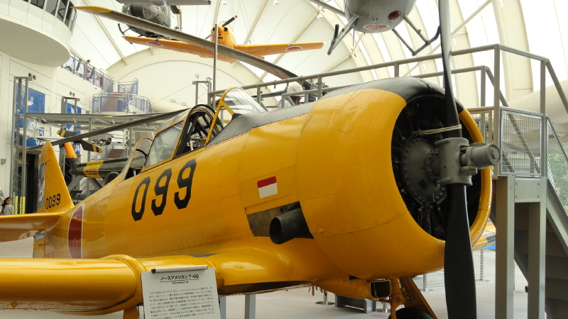 img0019.jpg