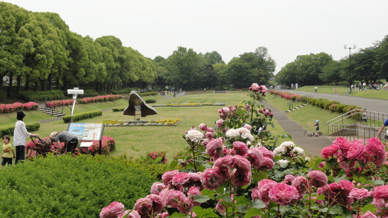 img0066.jpg