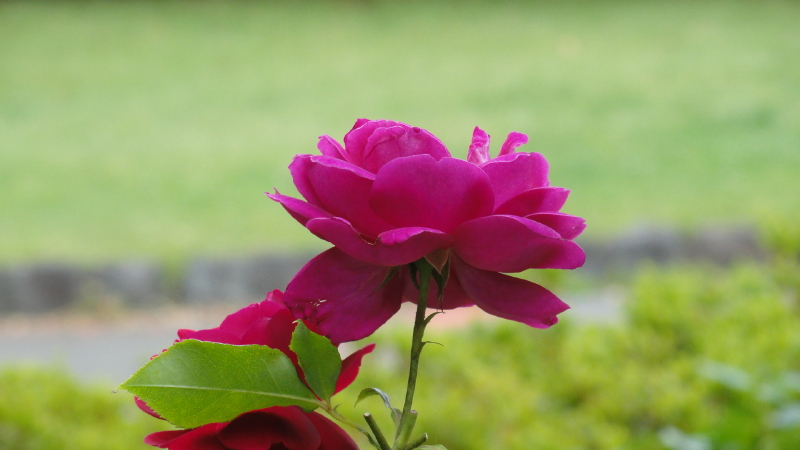 img0074.jpg