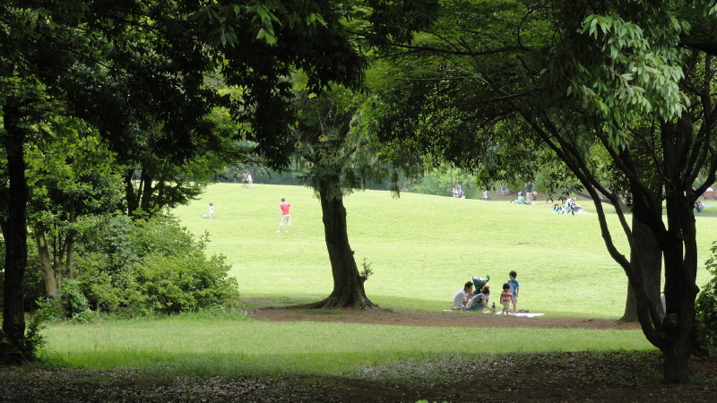 img0076.jpg