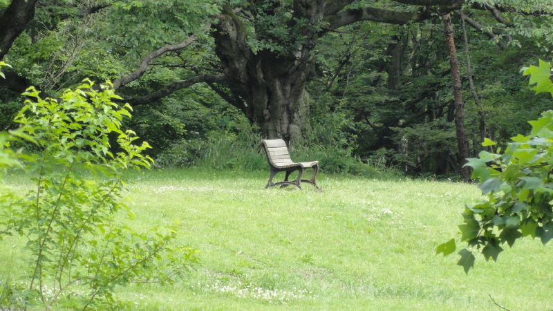 img0084.jpg