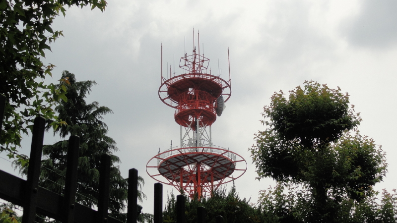 img0085.jpg
