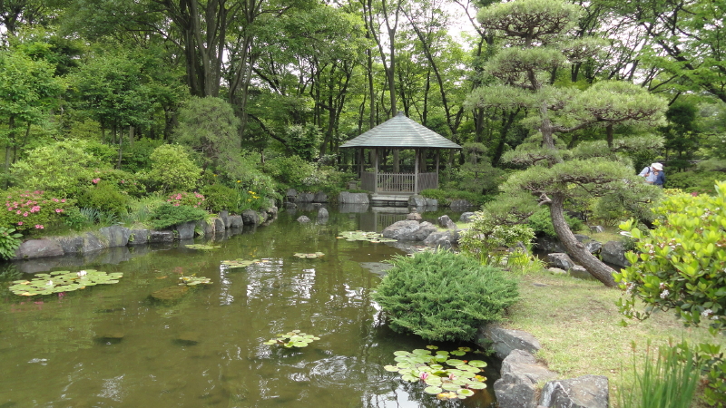 img0091.jpg