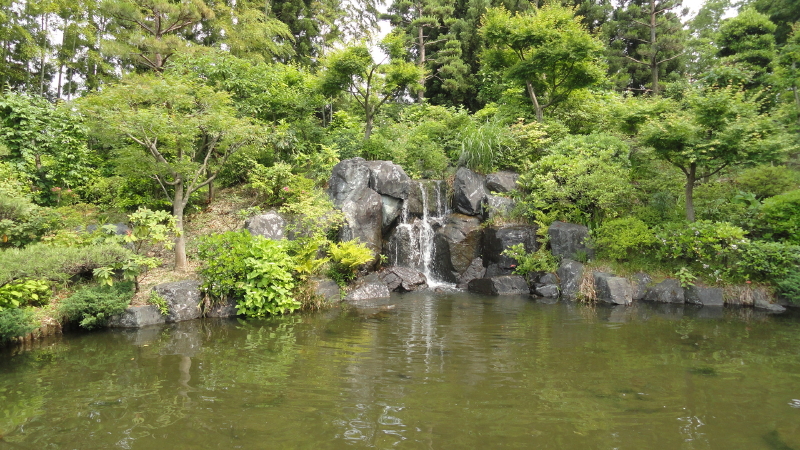 img0092.jpg