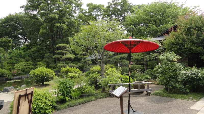 img0096.jpg
