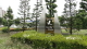 img0005.jpg