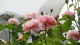 img0072.jpg