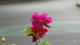 img0073.jpg